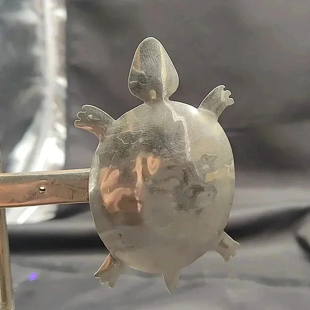 Zircus Sterling Silver Turtle pin